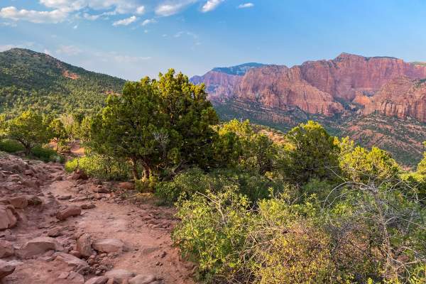 Kolob Timber Creek Trail