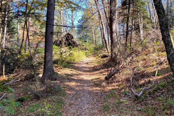 Bear Pen Gap Trail