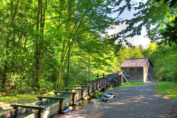 Mingus Mill