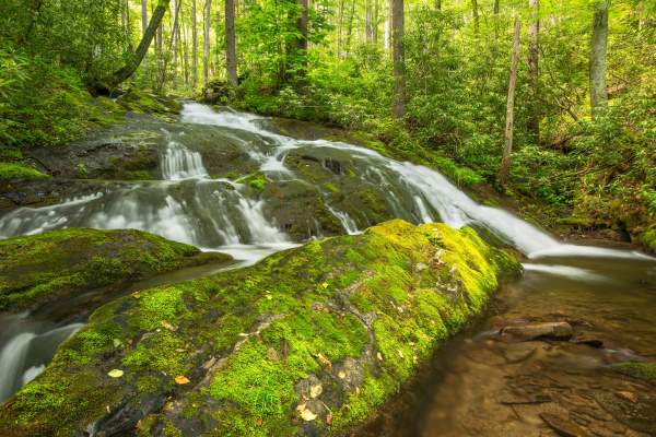 Chasteen Creek Falls