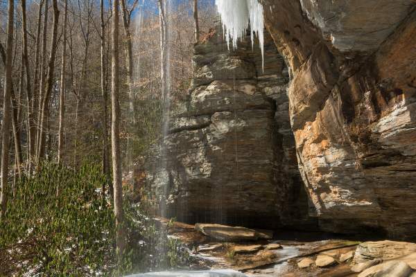 Moore Cove Falls