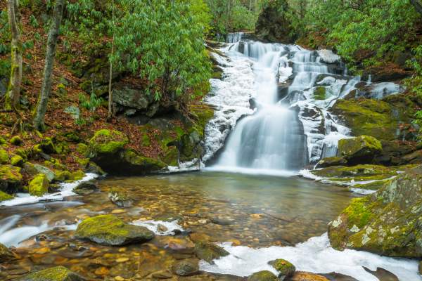 Rough Butt Creek Falls