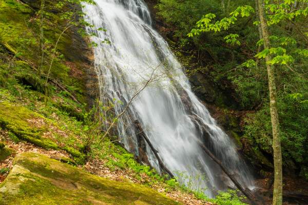 Rufus Morgan Falls