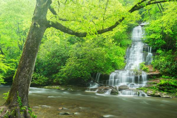 Tom Branch Falls