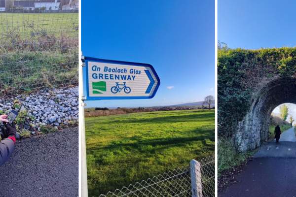 Phto broken in 3, lady taking photo of pant on camera phone, signpost of the Greenway with blue sky and green field, greenway tunnels with lady walking through in the distance.