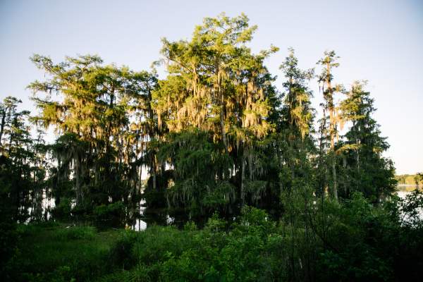 Job Opening: Communications Part-Time Employee