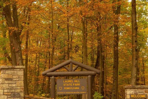 The Best Kept Secrets of Laurel Hill State Park