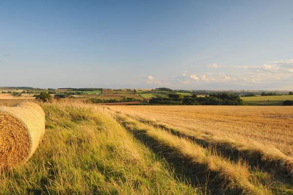 A landscape of fields in Lincolnshire with a hay bale in the foreground under blue skies