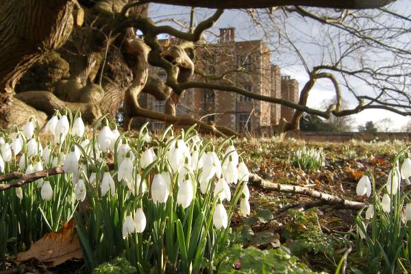 Snowdrop walks in Lincolnshire