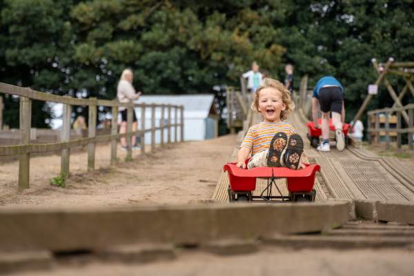 15 ways to make the most of February half term in Lincoln