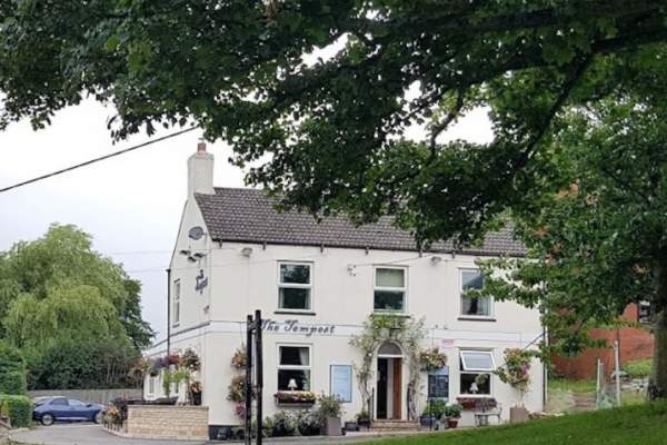 The New Village Social