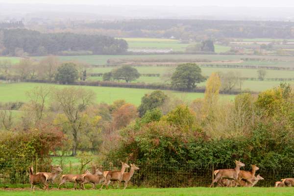 Three Days in the Lincolnshire Wolds: The Perfect Autumn Getaway