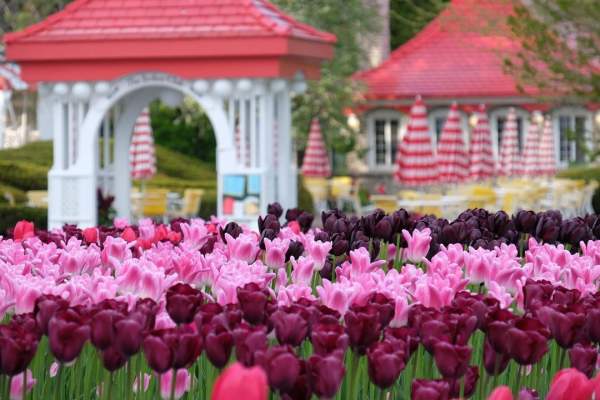 Mackinac Island 2025: What’s new? When does it open?