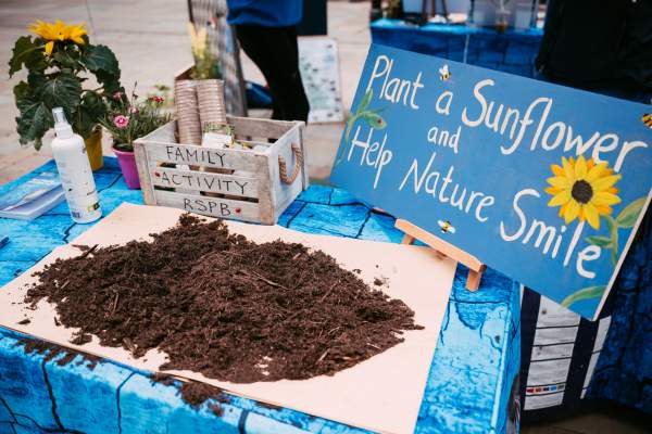 Get Creative at The Manchester Flower Festival - Your Workshop Guide