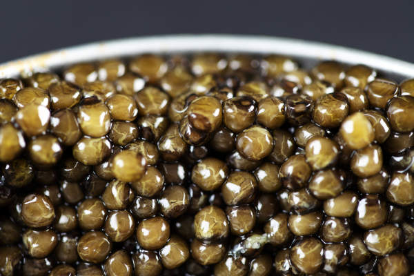 Up close shot of caviar in detail