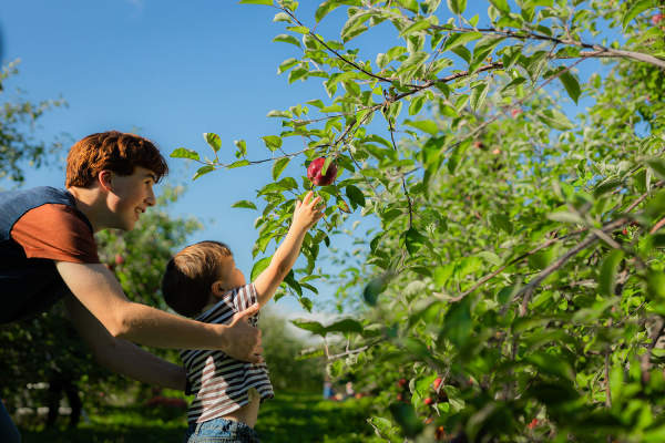 Fall Activities in Moncton-Dieppe! Let's Explore