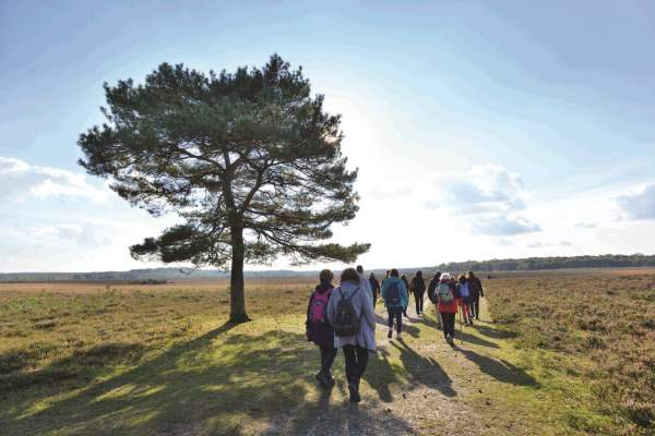 guided walk blog - 2022