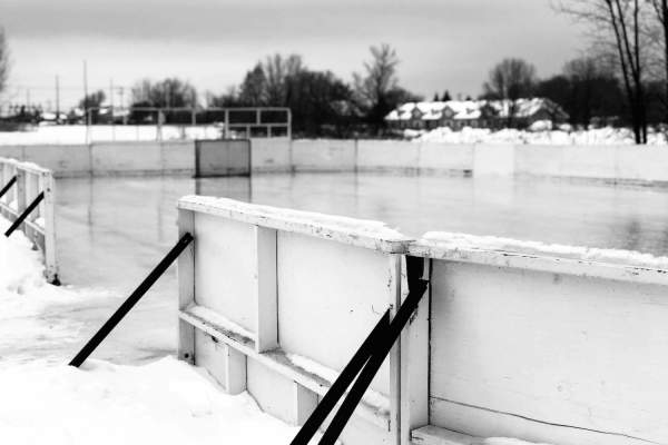 Haley Winn: Rochester’s Defensive Anchor Forged at Clarkson University