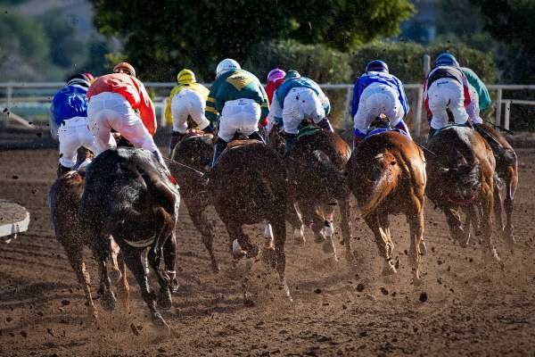 NYC’s Last Horse Racing Track Is Closing Forever