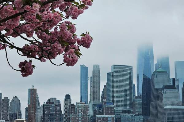 The Best Time to Visit New York City: Seasons, Months, and What to Expect