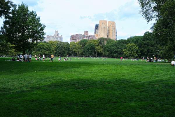 32 Top Things To Do in New York City With Kids