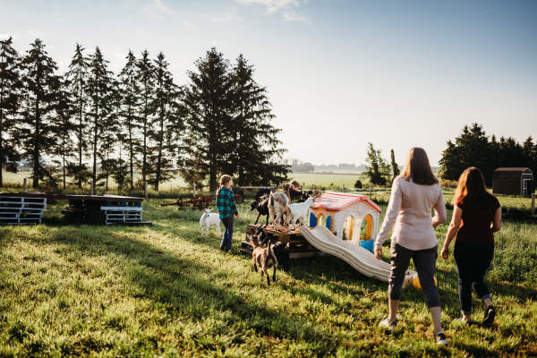 taste of farm life family friendly