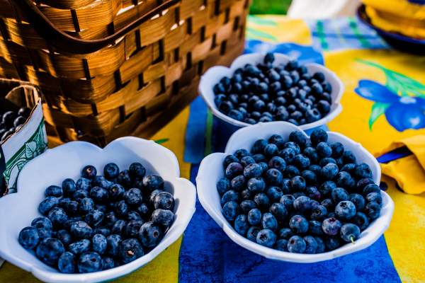 Blueberries and picnic basket