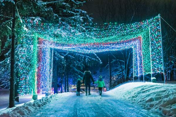 Ingersoll Lights kids
