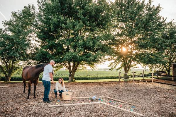 Dudek Photography (Transitions Equine)- 031 (1)