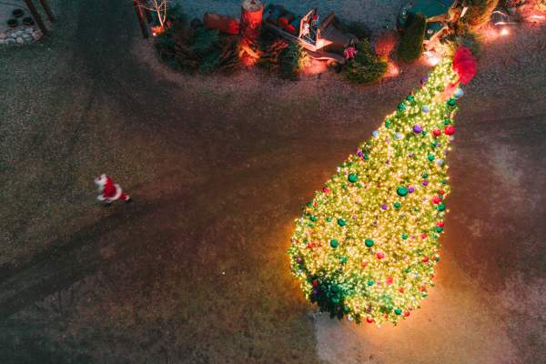 Snyders holiday experience