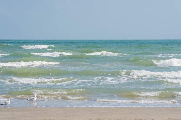 Wide shot of gentle turquoise ocean waves breaking on a sandy beach under a clear blue sky.