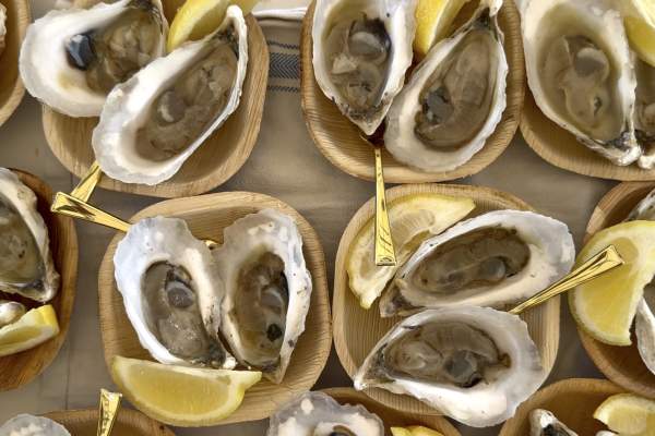 From Tide to Table