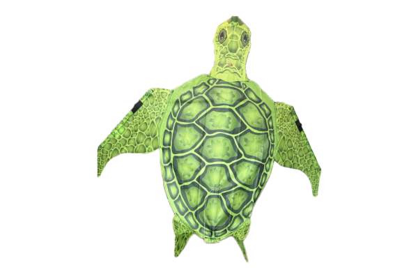 Turtle Kite