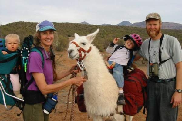 Arizona Backcountry Llamas