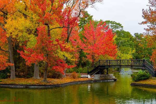 Fall