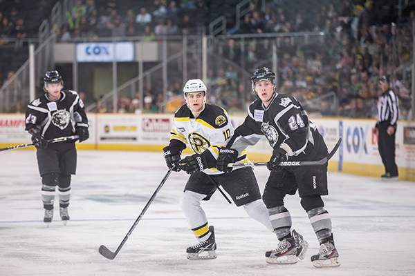 Bruins Hockey Players