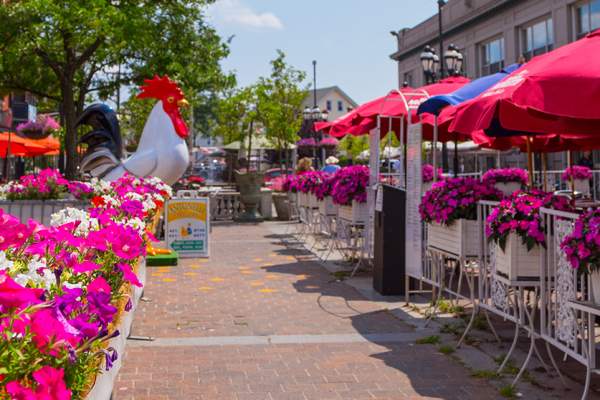 Federal Hill Restaurants