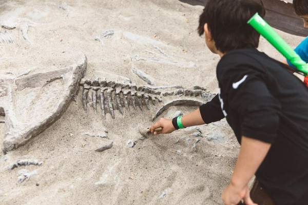 Jurassic Quest Fossil Dig