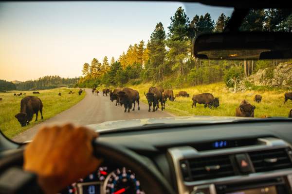 Discovering South Dakota’s Natural, Cultural, and Quirky Wonders