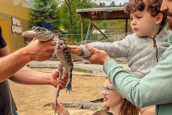 The Backpacker Mom: 15 Things To Do in Rapid City with Kids That Aren't Mount Rushmore
