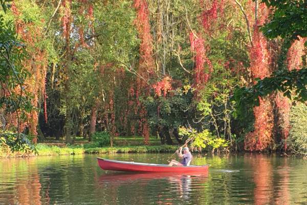 Autumn Along the Thames: Wildlife Wonders on the River