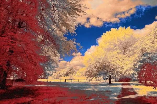 Nature Through the Seasons on the Thames Path