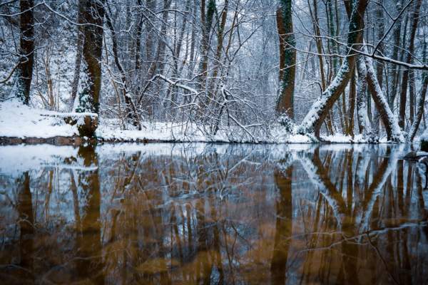 What to pack for a November Walk!