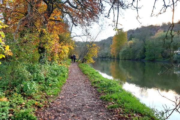 Autumn in Goring and Streatley
