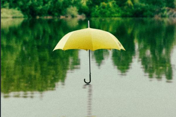 Walking in the Rain: Finding Joy in Nature’s Rhythm