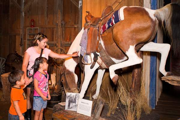 Quirky and Unusual Things to Do in San Antonio