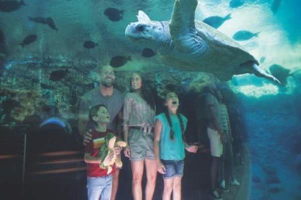 Start Your Summer Adventure in San Antonio