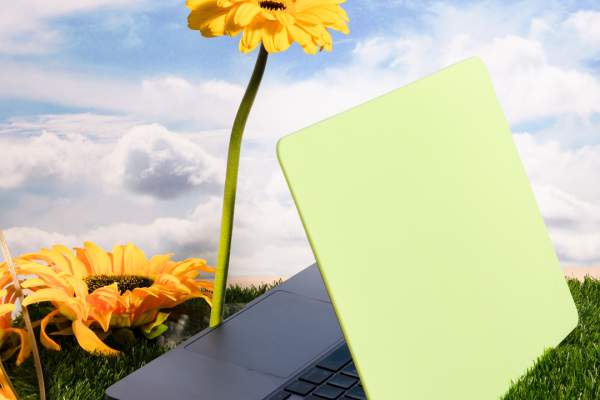 Springing into action: fresh websites to blossom your online experience