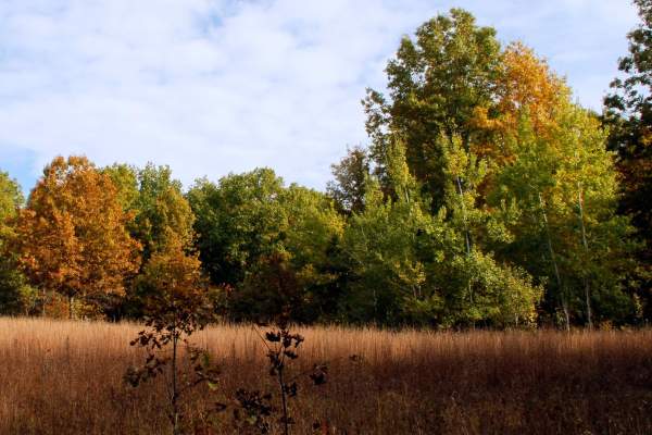 Glenwood Dunes Trail - Indiana Dunes National Park