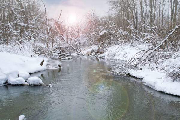 Heron Rookery Trail - Indiana Dunes National Park